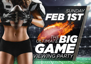 The Ultimate Big Game Viewing Party