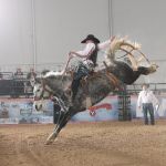 Bull riding action during NFR season in Las Vegas