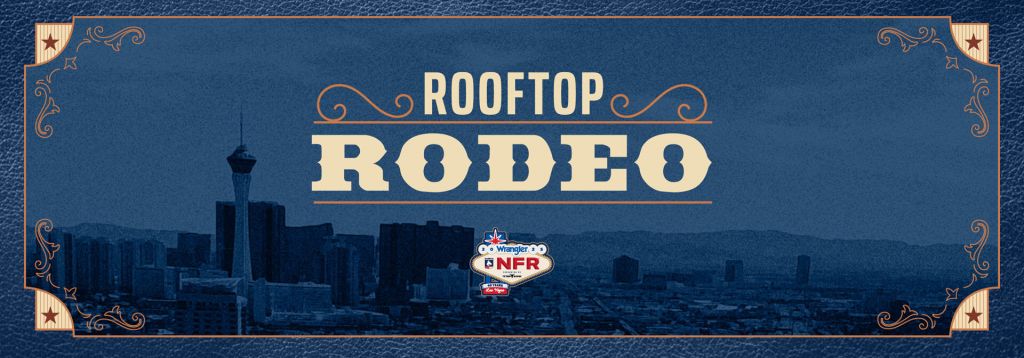 Tim McGraw Live in Las Vegas During NFR 2025